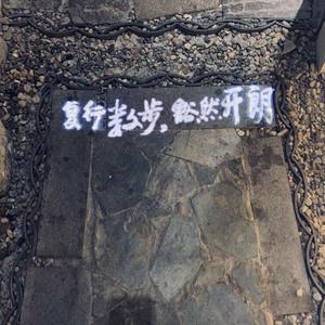 沈阳这些天一直在刮风