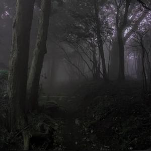 idontwannadothisanymore