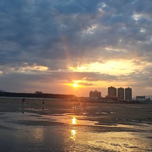 世界那么大，我想落脚在你身边
