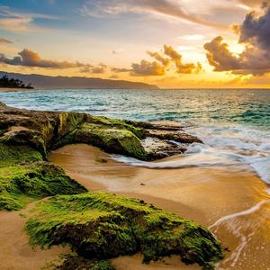 再也没有一个让我牵挂的人