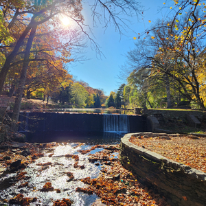 My Long Way Home (feat. George Kelly & John Andolino)