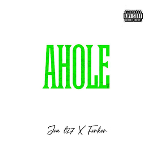 AHOLE