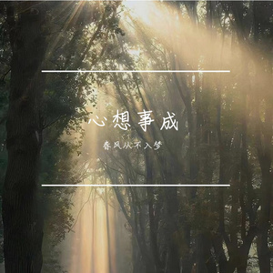 滑落了几颗碎星
