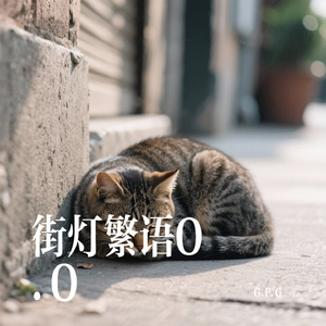 街灯繁语O.O