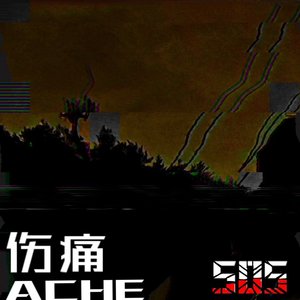 ACHE（伤痛）