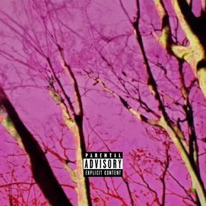 紫御苑Prod.by XALER