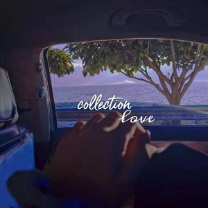 Collection Love