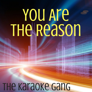 You Are the Reason (Karaoke Version) (Originally Performed by Calum Scott)