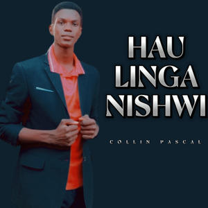Haulinganishwi