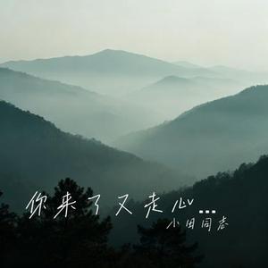 你来了又走心满了又空 (Cover 任夏)