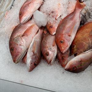 Cloutin’ (House Instrumental)