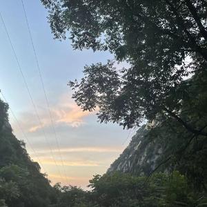 忽而今夏