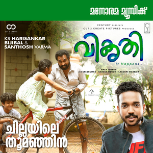 Chillayile (From "Vikruthi")