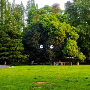 光住在裂缝里