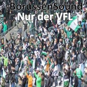 Nur der VFL