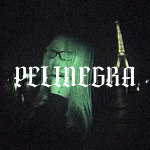PELINEGRA