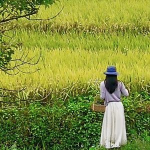 FarmerLove2(Prod.Gr33nart Beats)