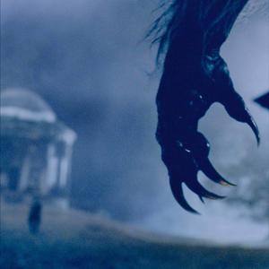 狼人 ✖ 请开始你的表演