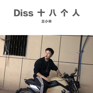 Diss十八个人