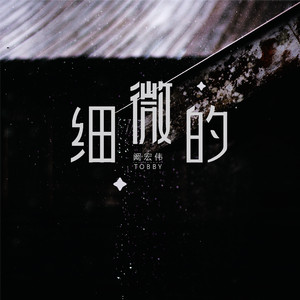 细微的（伴奏）