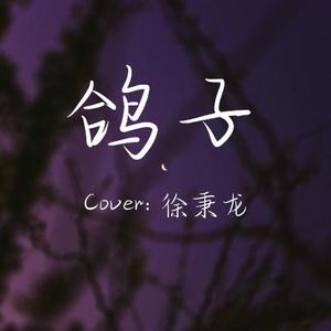 鸽子（cover:徐秉龙）