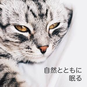 Pierot (Slowed & Reverbed)