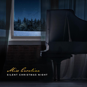 Silent Christmas Night