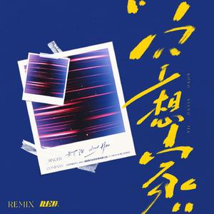 她离开了我 (Remix)