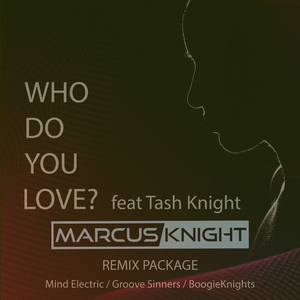Who Do You Love? (feat. Tash Knight) [Groove Sinners Remix]