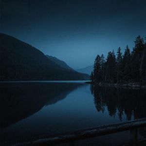 花落浮云端