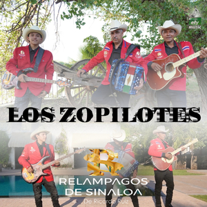 Los Zopilotes
