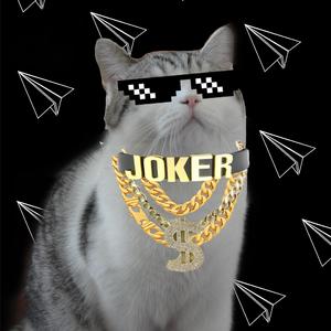 小猫咪能有什么坏心眼呢