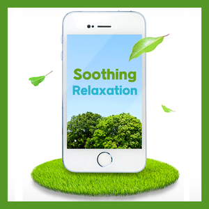 잔잔한 바람이 불 때 (숲바람소리)