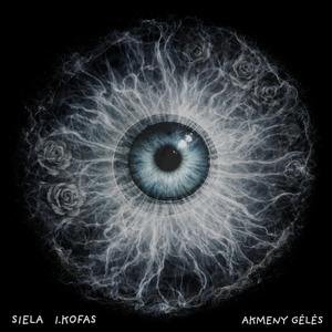 Akmeny gėlės (feat. Igoris Kofas)