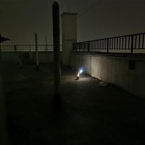 只要平凡（翻自 张碧晨）