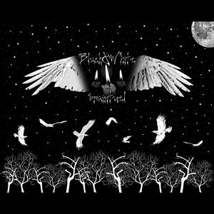 Of Twilight and Shadow