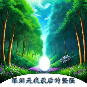 泪之光 (古筝曲)