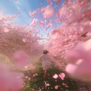 Aries（白羊座）