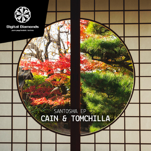 Santosha (Original Mix)