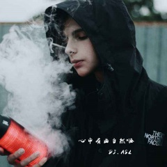 因为不爱所以都错 (DJ版)