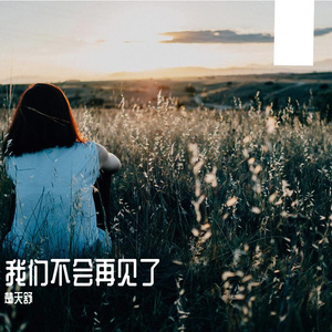 我们不会再见了