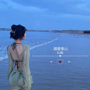 隔壁泰山 （dj版）