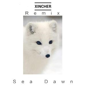 Sea Dawn-Miss Me Too（Xincher remix）