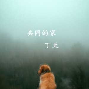 共同的家