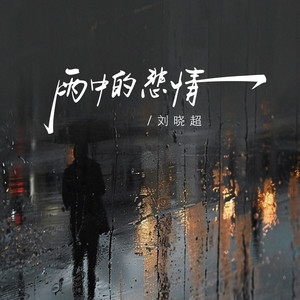 雨中的悲情 (刘晓超版)