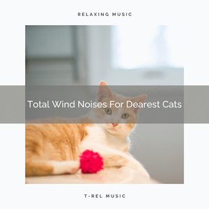 Wind Sounds Especially For Our Cats