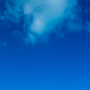 漂泊了这多年 (1)