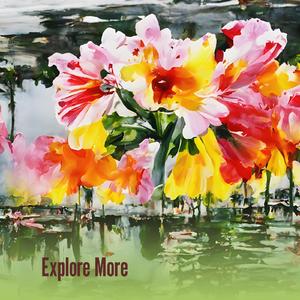 Explore More