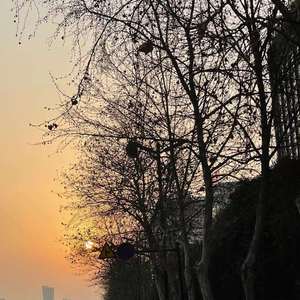 哪里都是你