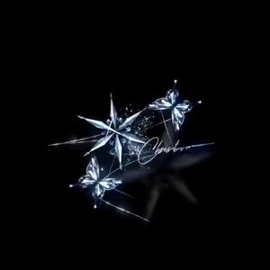 Distortion Echo(phonk)